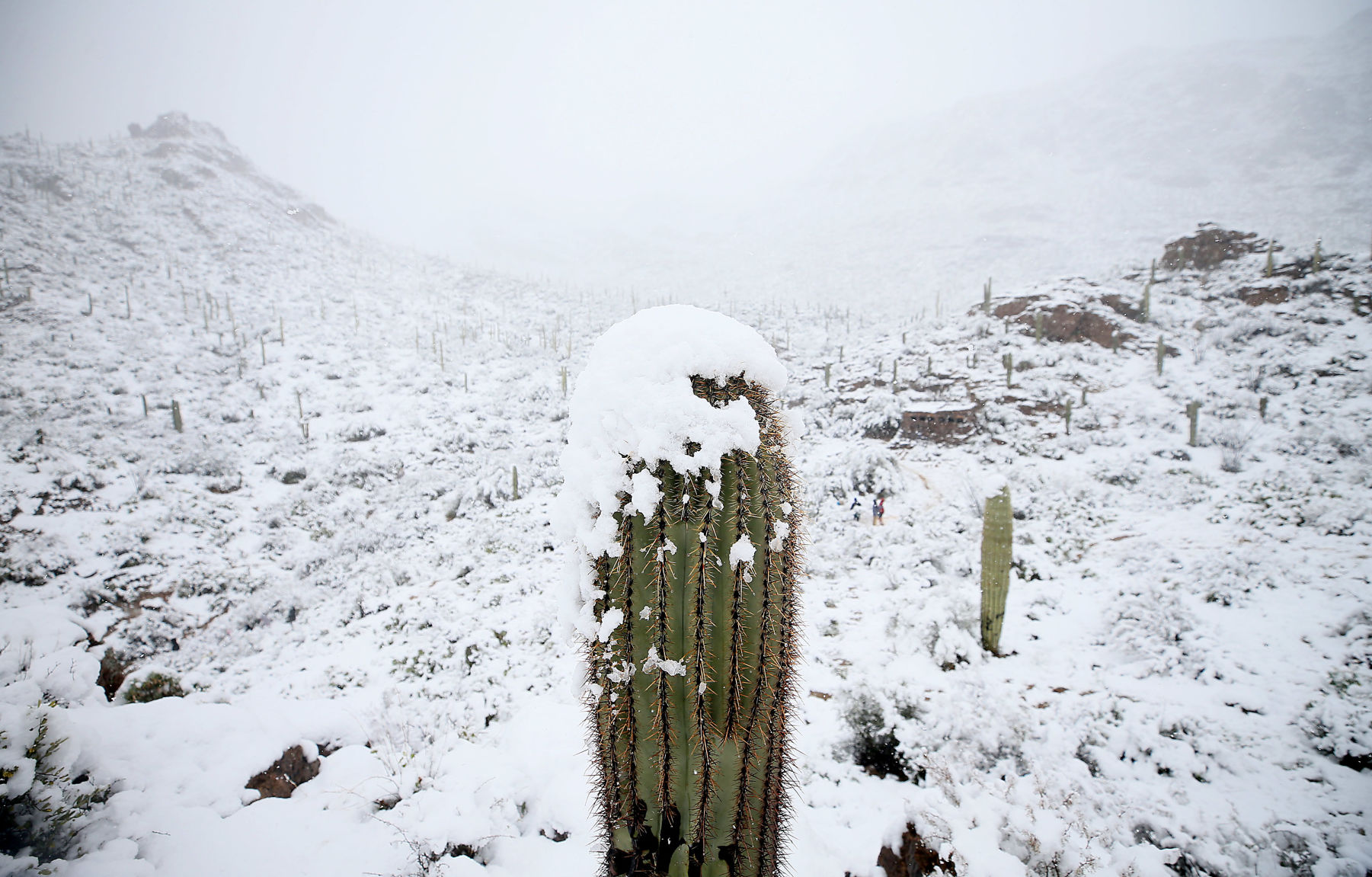 Snow in the Old Pueblo